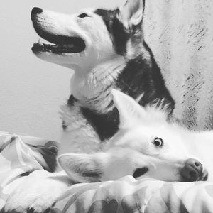 Meet your Posher, Keli